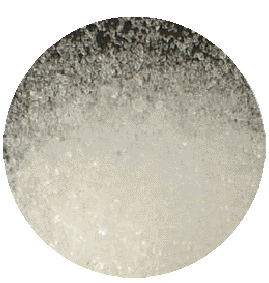 天津同新化工廠磷酸氫二銨